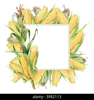 Mazzetti di mais verdure acquerello pittura a mano. Mazzo di mais dolce dorato cornice quadrata dorata. Coltura di grano giallo con involucri verdi. Dipinto realisticamente Foto Stock