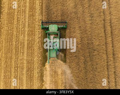 Vista aerea dall'alto di una mietitrebbia che raccoglie colture di cereali in Lettonia Foto Stock
