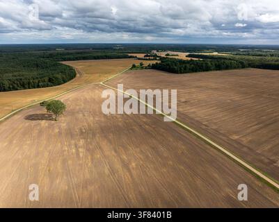 Vista aerea di campi agricoli raccolti e nuvole di tempesta drammatiche sulla paesaggio rurale della Lettonia Foto Stock