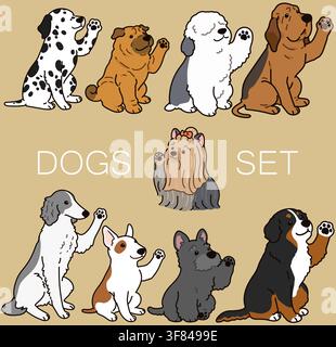 Set di cani carini e semplici delineati, seduti e che salutano (Yorkshire Terrier, Pastore, Shar Pei, Terrier Scozzese, Cane da Montagna, Bull Terrier, Borzoi, Illustrazione Vettoriale
