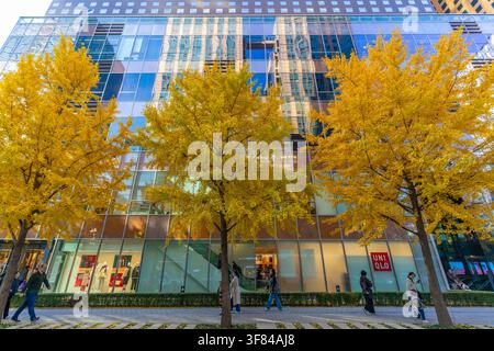 Vista di una giornata soleggiata di alti edifici e alberi autunnali nel distretto di Jongno, Seoul, Corea del Sud Foto Stock