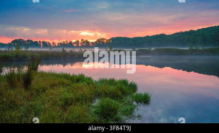 Un bellissimo sorgente su un piccolo lago nella riserva naturale di Appelbergen, vicino al villaggio di Glimmen, al confine tra le province di Drenthe e G Foto Stock