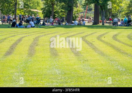 Le strisce curve del tagliaerba si ondulano su un prato illuminato dal sole in primo piano. Folle sfocate in picnic si rilassano sotto gli alberi ombrosi del parco più avanti. Foto Stock