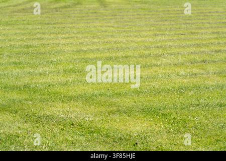 Le strisce di taglio che si sovrappongono creano un motivo a rombo su un prato verde illuminato dal sole. Ombre morbide di alberi si estendono sull'erba appena tagliata in questo primo piano Foto Stock