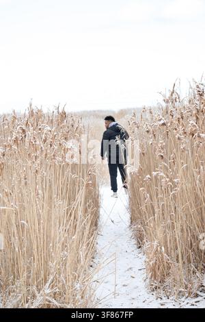 Una persona si allontana lungo un sentiero coperto di neve tra alti giunchi pallidi in una giornata invernale luminosa e sbiadita. Foto Stock