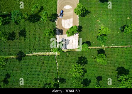 Vista aerea di un trattore che ara un campo circondato da vegetazione rigogliosa e alberi a Rangpur, Divisione Rangpur, Bangladesh. Foto Stock