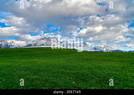 Prato primaverile vicino a Saalfelden con le cime innevate del Steinernes Meer e del massiccio di Hochkönig che si stagliano sullo sfondo. Foto Stock