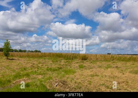 Vasto campo agricolo raccolto che si estende verso l'orizzonte con moderne turbine eoliche di energia verde che girano sotto un bellissimo cielo azzurro estivo Foto Stock