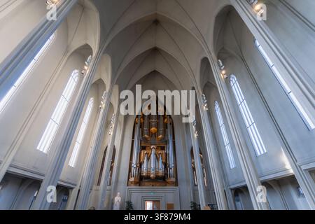Reykjavik, Islanda - 8 giugno 2025: Vista interna della chiesa di Hallgrímskirkja, che mostra le sue colonne ispirate al basalto e il grande organo a canne nel coro Foto Stock