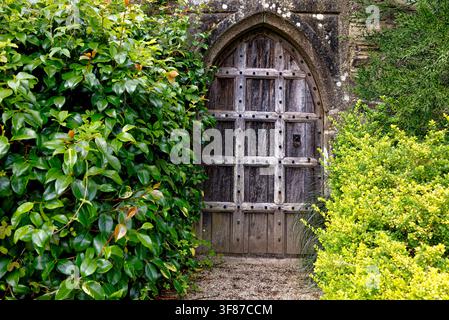 Una porta storica in quercia splendidamente incorniciata e consumata dal tempo, inserita in una cornice in pietra ad arco, incastonata tra siepi rigogliose verdi e gialle del giardino a Lanhydrock H Foto Stock