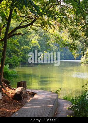 Sentiero di legno che si snoda lungo il tranquillo fiume Svratka circondato da alberi verdi in una giornata di sole Foto Stock