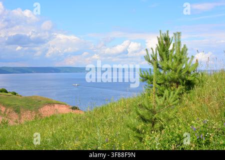 Vista scenica sul fiume da una collina erbosa con pino e spazio per il testo Foto Stock
