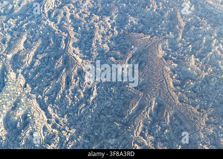 Una vista a volo d'uccello di un antico campo di lava mostra un paesaggio estremamente aspro e inospitale vicino a Bend, Oregon. Quest'area fa parte di Cascadia. Foto Stock