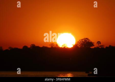 Tramonto sul fiume Zambesi con silhouette di baobab, Cascate Victoria, Zimbabwe Foto Stock