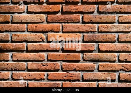 Mattoni rossi formano un muro strutturato e ordinato. Le linee di malta definiscono il posto di ogni mattone. La luce del sole evidenzia la superficie invecchiata del muro. Questo muro suggerisce stre... Foto Stock