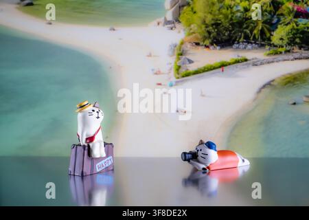 Chiang Mai, Thailandia - 07 agosto 2026 : Figurina di gatto stravagante con una fotocamera accanto a un gatto viaggiatore su una valigia, sfondo Koh Nang Yuan Foto Stock