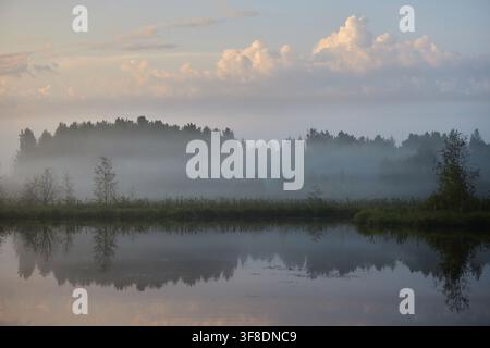La nebbia mattutina avvolge un lago con alberi sulla riva. L'acqua riflette le nuvole e la natura circostante. È presto e la luce è soffusa e attenuata. Foto Stock