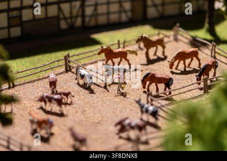 Una vista ravvicinata mostra cavalli in miniatura e figure di bovini all'interno di recinti recintati con messa a fuoco selettiva e luce calda del sole. Foto Stock