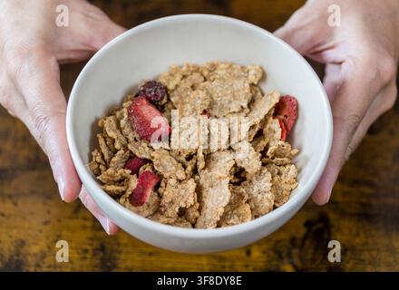 Ciotola di cereali con bacche rosse essiccate Foto Stock