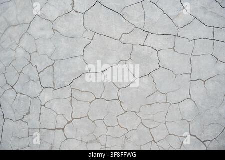 Trama di terra secca e screpolata che ricorda una palude arida o una frattura del cemento. Foto Stock
