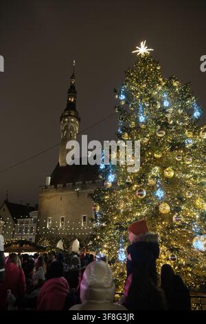 Tallinn, Estonia-29 nov. 2025: albero di Natale illuminato e torre del Municipio di Tallinn con spettatori di notte. Foto Stock