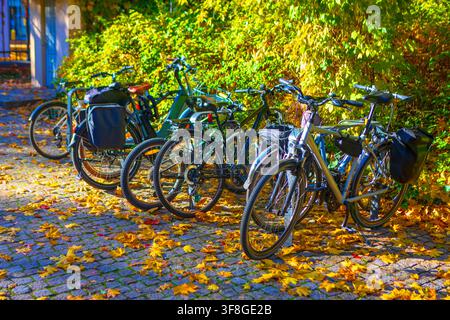 Diverse biciclette sono parcheggiate in fila lungo un sentiero di ciottoli cosparso di foglie autunnali cadute. Le foglie cadute ricoprono il terreno intorno alle ruote Foto Stock