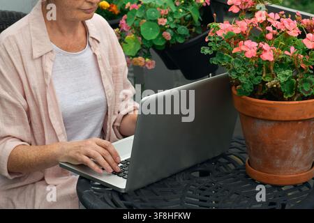 Donna di mezza età che digita su un computer portatile accanto a un vaso di terracotta con geranio rosa sul balcone Foto Stock