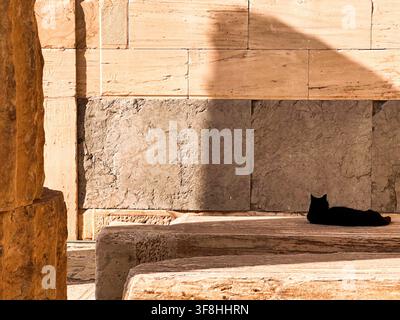 Gatto nero che si rilassa su una panca di pietra alla calda luce del sole accanto a muri di pietra strutturati. Scena minimalista pacifica con luce e ombra drammatiche Foto Stock