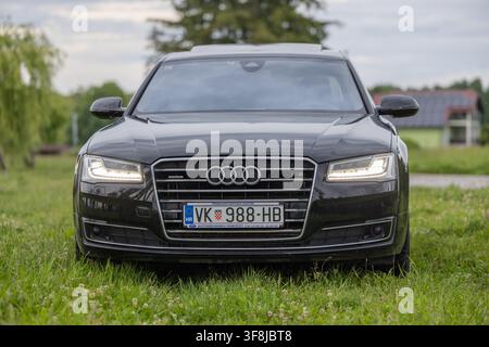 Vinkovci, Croazia - 15 maggio 2026: Berlina di lusso Audi nera parcheggiata su un campo erboso con i fari accesi e una griglia anteriore chiara. L'auto si trova ou Foto Stock