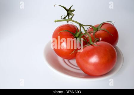 Tre pomodori rossi su un ramo, distesi su un piatto bianco su sfondo bianco Foto Stock