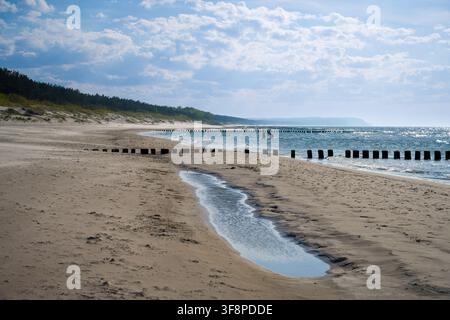 Vista panoramica ad ampio angolo di una costa sabbiosa sul Mar Baltico con frangiflutti in legno, pozze d'acqua e dune coperte di foresta sotto una b nuvolosa Foto Stock