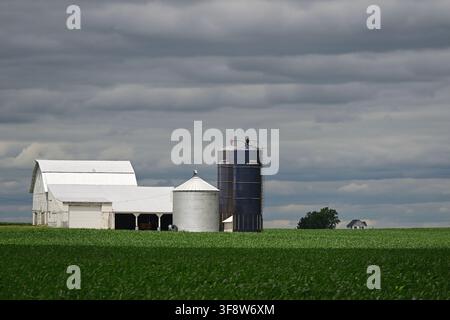 Leland, Illinois, USA. Il sole trova una fessura tra le nuvole tempestose per brillare brevemente su un fienile bianco e su dei silos di stoccaggio. Foto Stock