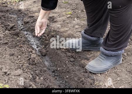 Un giardiniere maturo pianta semi in terra scura e fertile all'aperto, evidenziando la semplice gioia dell'agricoltura e la dedizione paziente necessaria per su Foto Stock