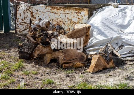 Segmenti di legno tagliati grossolanamente sono ammucchiati in un contesto di cortile all'aperto, dove la texture organica e i materiali rustici evidenziano una fonte tradizionale di combustibile Foto Stock