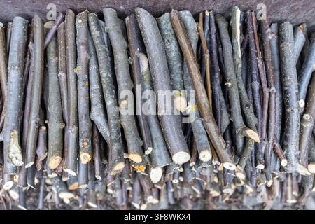 Disposizione ravvicinata di tronchi di legno tagliati crea un motivo naturale, rappresentando una raccolta essenziale di tronchi preparati per il riscaldamento durante le stagioni fredde in Foto Stock