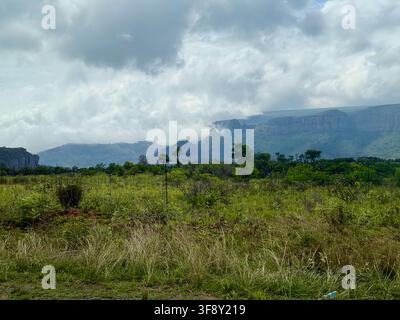 Campo erboso verde e rigoglioso con montagne rocciose lontane sotto un cielo nuvoloso a Graskop, Mpumalanga, Sudafrica Foto Stock