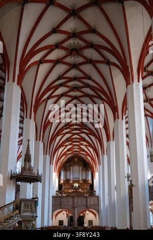 Vista ampia all'interno della chiesa di San Tommaso a Lipsia, che mostra il soffitto a volta con costoloni rossi, le alte colonne bianche, il pulpito e l'organo a canne. Foto Stock