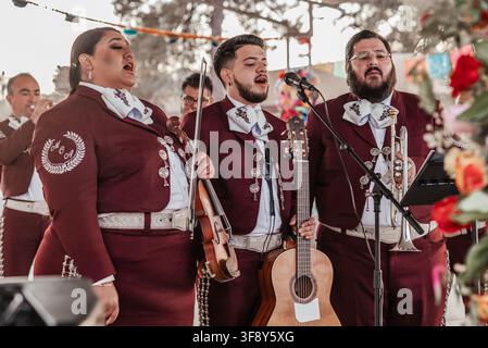Esibizione dei Mariachi Continental Azteca nella chiesa cattolica di San Edoardo Confessore a Phoenix, Arizona Foto Stock