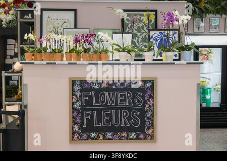 Una vivace esposizione di orchidee in vaso di vari colori è presentata su un bancone in una fioreria a Toronto. Il cartello in lavagna con la scritta 'Flowers Fleu Foto Stock