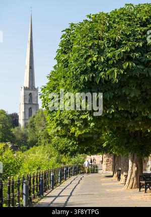 Durante una lunga e calda estate, il sentiero lungo il fiume è una popolare passeggiata rilassante, sotto la Cattedrale di Worcester, un po' lontano dal centro città. Foto Stock