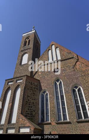 Questa veduta a occhi di rana mostra l'imponente facciata orientale della chiesa del monastero in Klosterplatz a Cottbus, la cui costruzione in mattoni e pietra di campo gotica precoce Foto Stock
