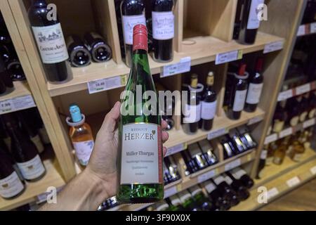 Azienda vinicola Herzer Mueller-Thurgau Naumburger Steinmeister vino di qualità secco, vino bianco secco, bottiglia di vino bianco Mueller-Thurgau in una mano davanti a lei Foto Stock