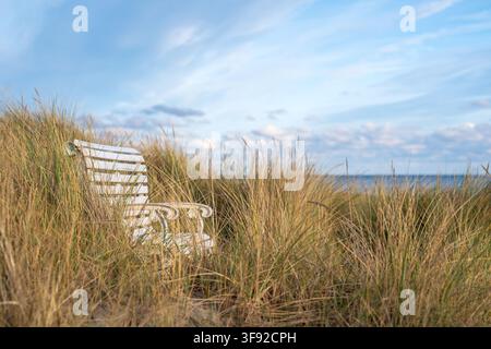 Panchina sulla spiaggia del Mar Baltico nelle dune, Mar Baltico, Lenster Strand (Grömitz) Ostholstein, Schleswig-Holstein, Germania Foto Stock