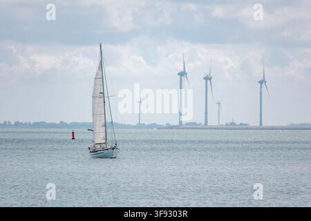 Barca a vela sull'acqua scintillante con un parco eolico offshore nello Zeeland, Paesi Bassi, che mostra energia rinnovabile tradizionale e moderna Foto Stock