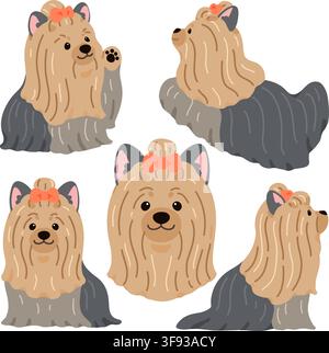 Illustrazioni semplici e adorabili di Yorkshire Terrier a pelo lungo colorate in piatto Illustrazione Vettoriale