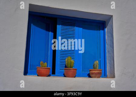Tre cactus in vaso su un davanzale blu vivace contro l'architettura bianca di Lanzarote, Isole Canarie, Spagna Foto Stock
