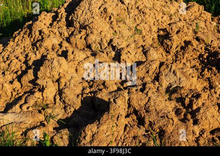 Grande cumulo di texture di terreno argilloso crudo con crepe profonde e grumi irregolari sotto la luce intensa del sole che forma ombre drammatiche in un ambiente naturale di campo Foto Stock