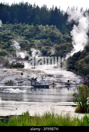 Hot Springs Orakei Korako, Isola del nord, Nuova Zelanda Foto Stock