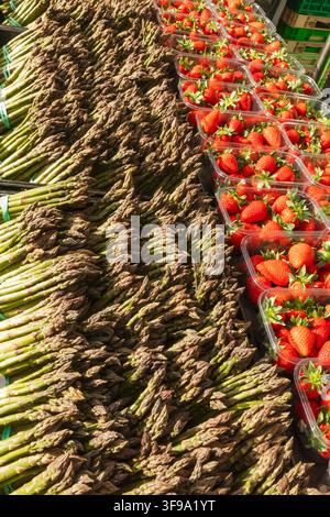 Inghilterra, Hampshire, Alresford, Il Festival annuale del crescione d'acqua, Esposizione di asparagi freschi e fragole Foto Stock