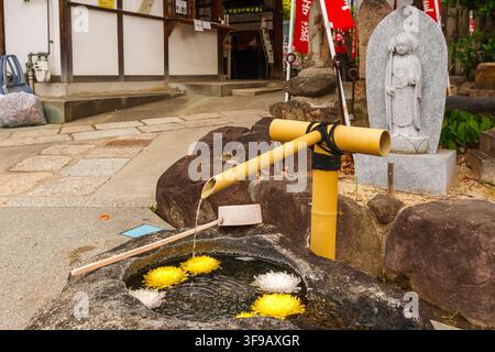 Fontana d'acqua tradizionale giapponese in bambù chozuya decorata con fiori di crisantemo al tempio Shitennoji a Osaka, Giappone. Foto Stock